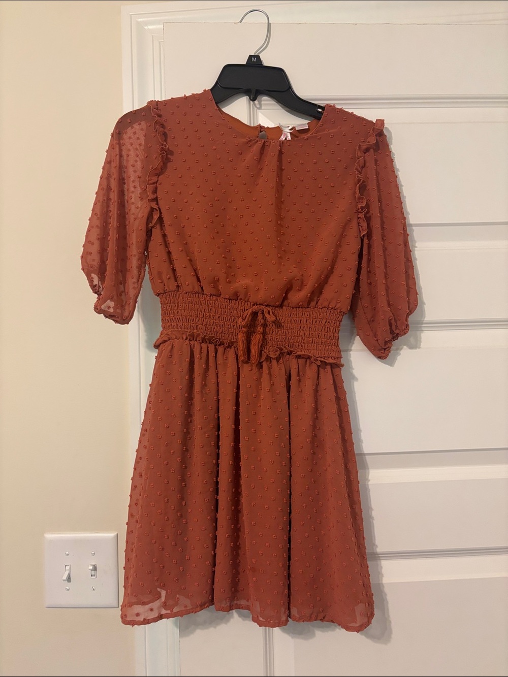 Smocked Waist Mini Dress in Rust